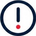 raise_issue
